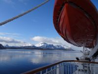 Hurtigruten 