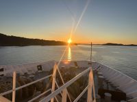 Hurtigruten 