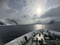 Hurtigruten 