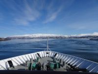 Hurtigruten 
