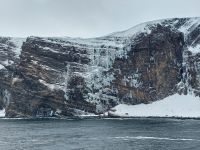 Hurtigruten 