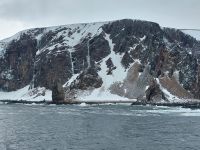 Hurtigruten 
