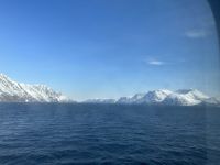 Hurtigruten 
