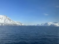Hurtigruten 