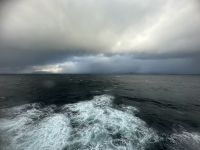 Hurtigruten 