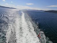 Hurtigrutenfahrt