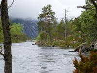 Husedal