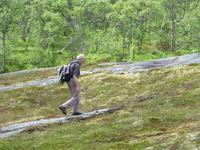 Husedal