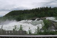 IMG_3384