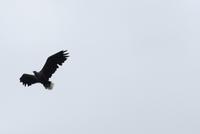 IMG_3542