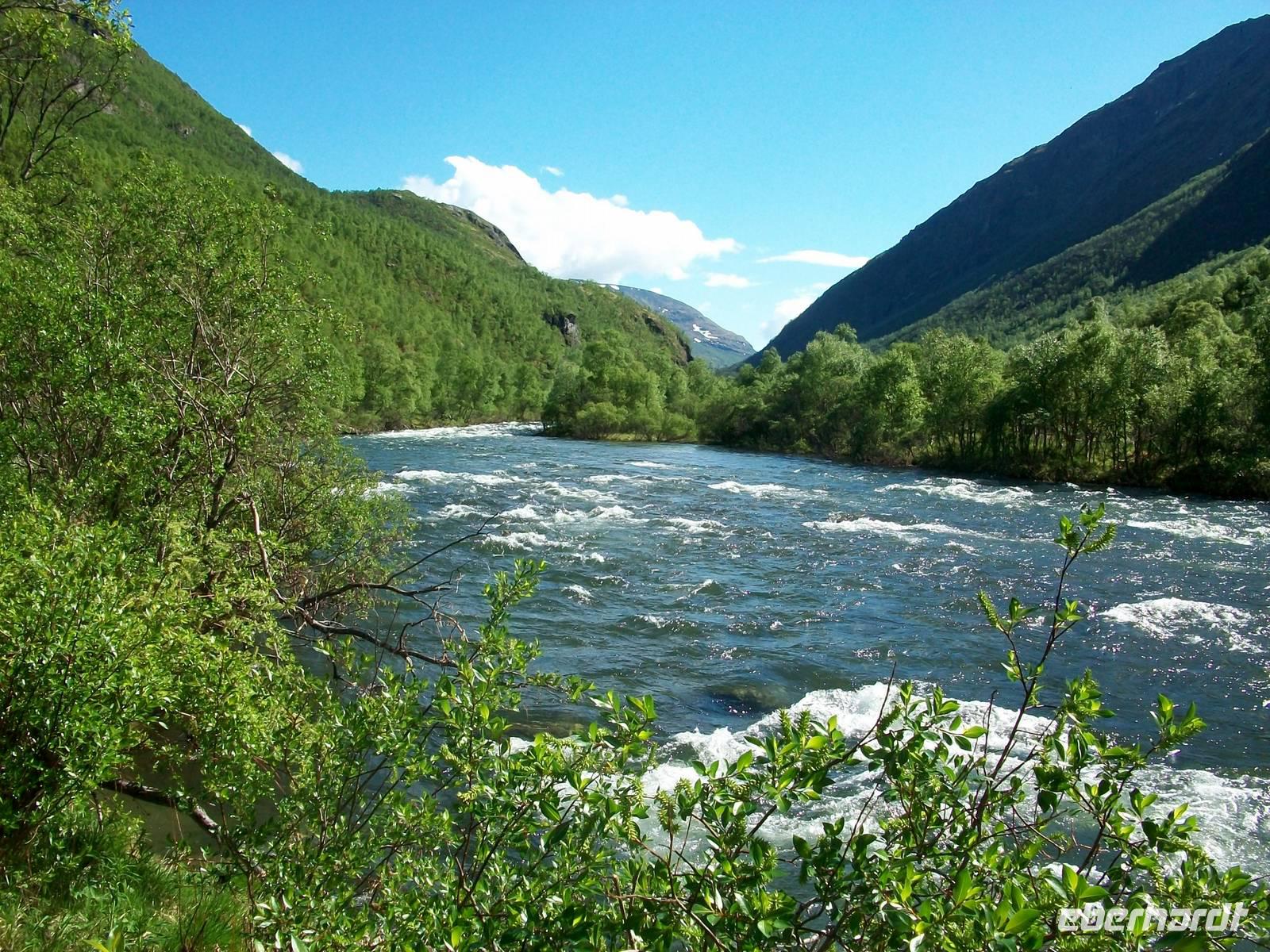 Im Dovrefjell