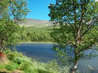 Im Dovrefjell
