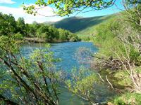Im Dovrefjell