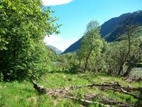 Im Dovrefjell