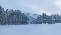 In Buktmoen zweigt die Fv 855 von der E6 in Richtung Finnsnes ab
