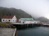 In Mortesund 