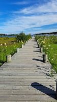 Jävre Norra