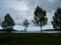 Jävre