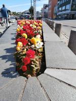 Kristiansund