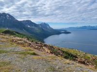 Kvænangenfjord