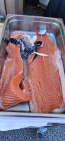 Lachs filetieren