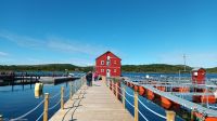 Lachsfarm in Brønnøysund