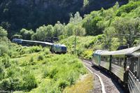 Land der Trolle-115