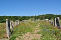 Land der Trolle-7