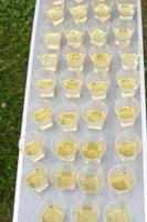 Linie Aquavit