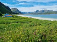 Lofoten (Insel Flakstadøy) - Strand von Ramberg