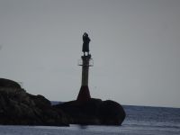 Lofoten - Rundfahrt 