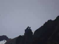 Lofoten - Rundfahrt 