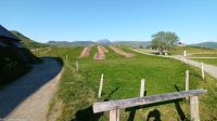 Lofoten - Wikinger Museum von Borg - Archäologen bei der Arbeit zuschauen