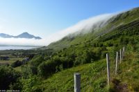 Lofoten