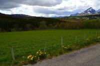 Lofoten