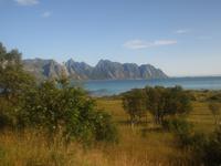 Lofotenlandschaft 