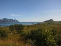 Lofotenlandschaft 