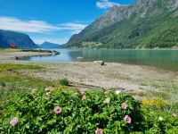 Lusterfjord