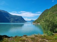 Lusterfjord