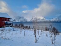 Lyngenfjord 