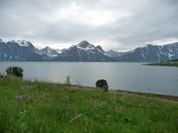 Lynger Alpen