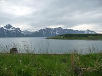Lynger Alpen