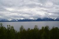 Lynger Fjord