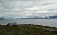 Lynger Fjord