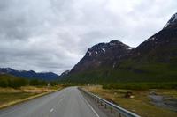 Lynger Fjord