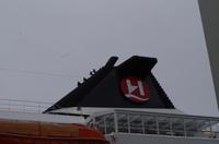MS Polarlys