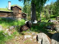 Maihaugen