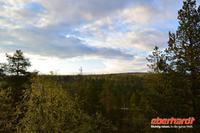 Mitternachtssonne in Saariselkä