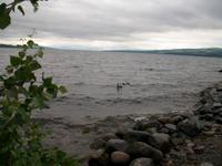 Mjösasee