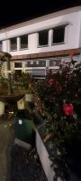 Molde- Stadt der Rosen
